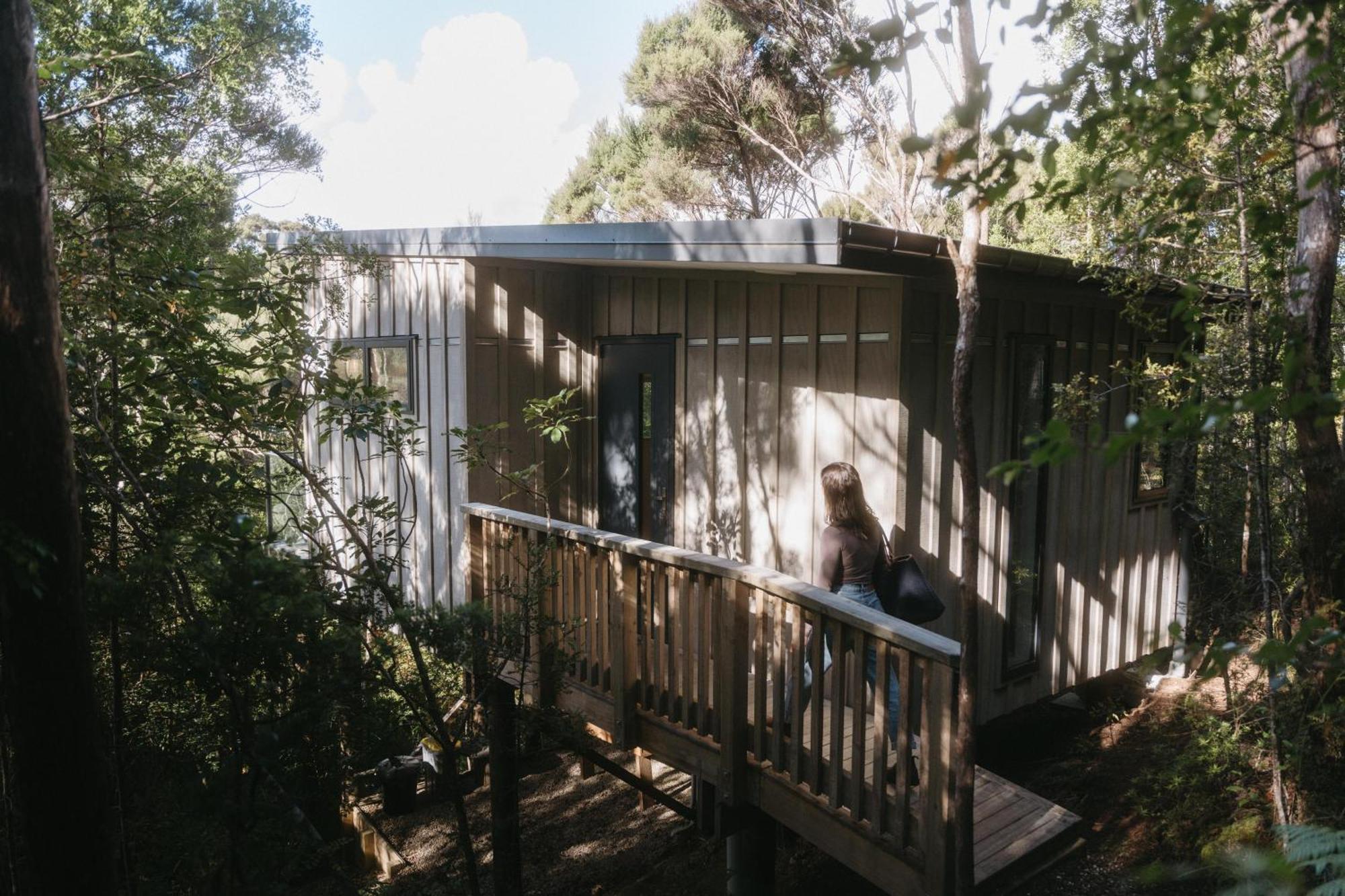 Treetop Tranquility At Rekindle Tree Houses Opua Eksteriør billede