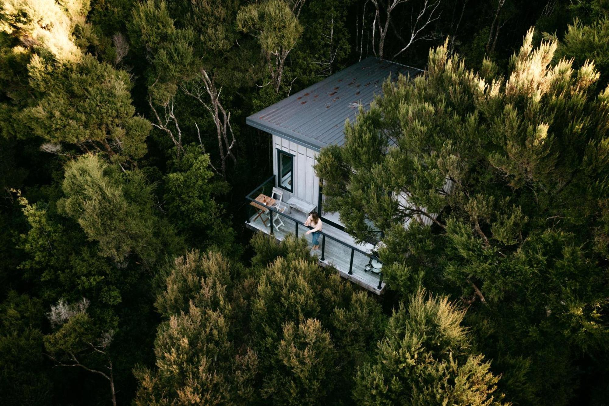 Treetop Tranquility At Rekindle Tree Houses Opua Eksteriør billede