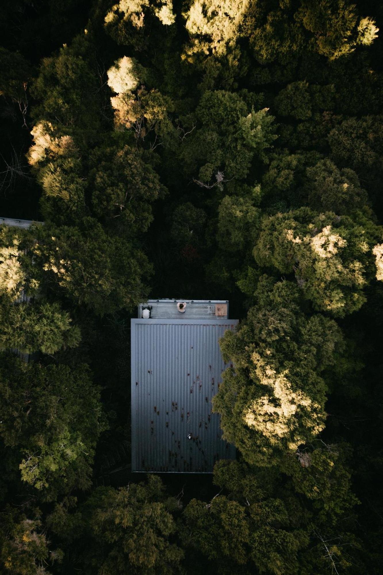Treetop Tranquility At Rekindle Tree Houses Opua Eksteriør billede