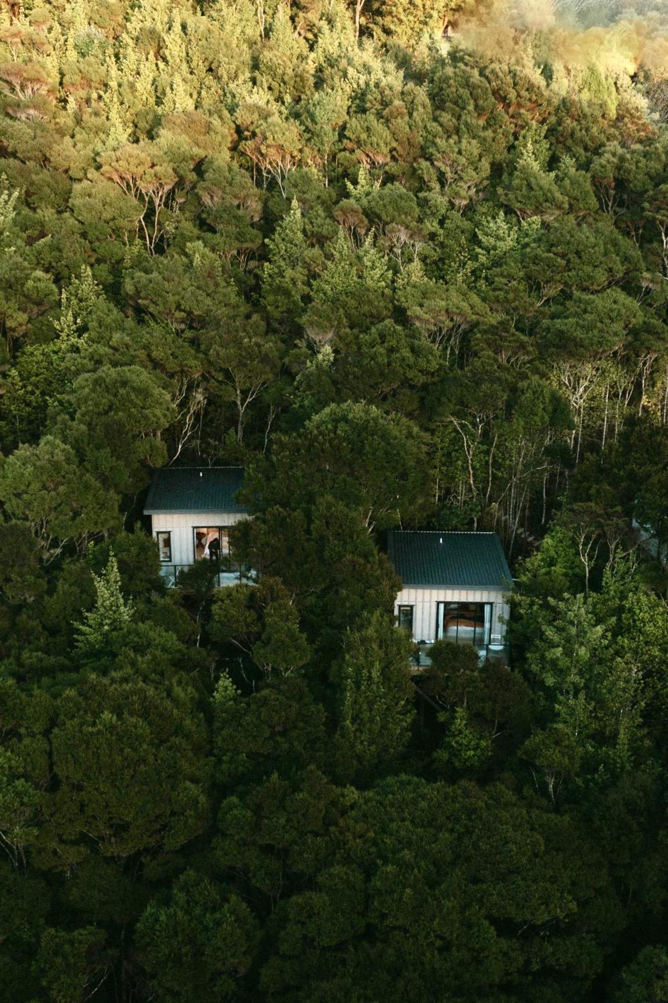 Treetop Tranquility At Rekindle Tree Houses Opua Eksteriør billede